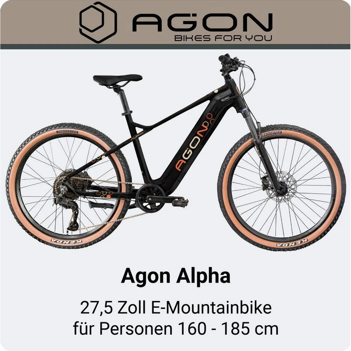 AGON E-Bike Mountainbike Alpha, 10 Gang Shimano Deore, 540 Wh Akku, Front-Federgabel 3