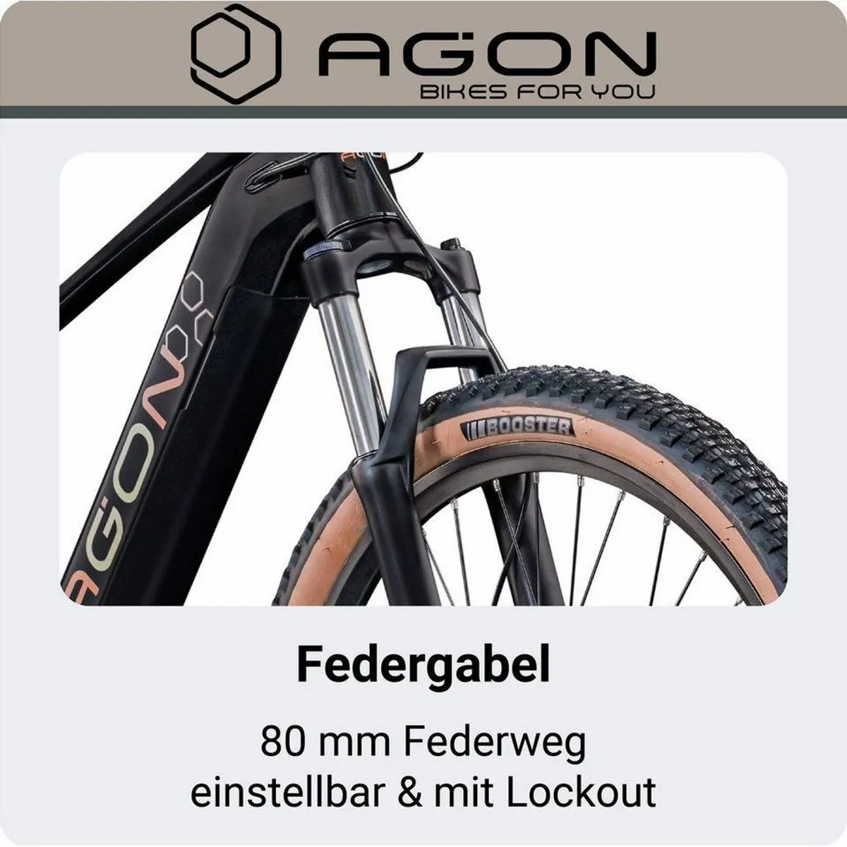 AGON E-Bike Mountainbike Alpha, 10 Gang Shimano Deore, 540 Wh Akku, Front-Federgabel 4