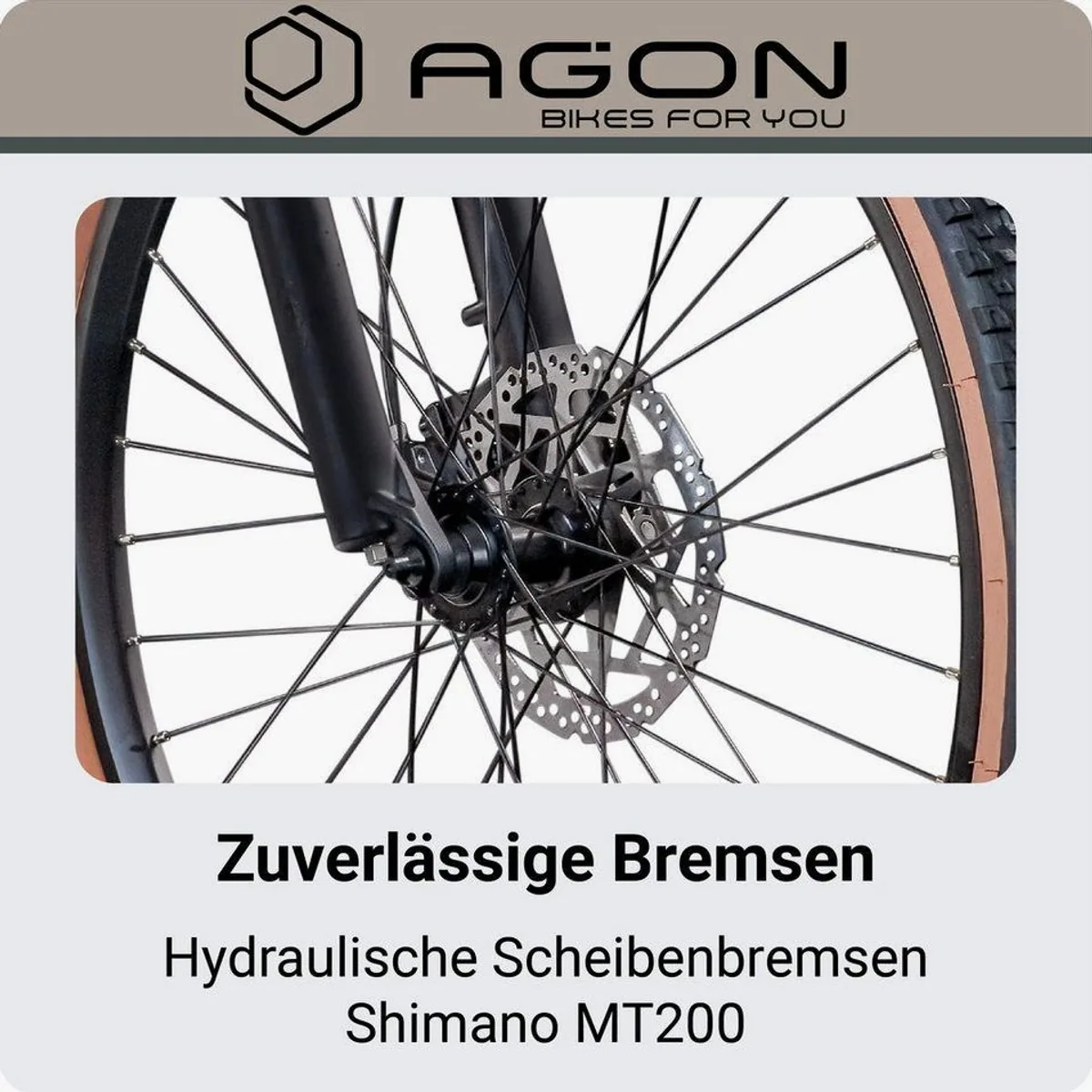 AGON E-Bike Mountainbike Alpha, 10 Gang Shimano Deore, 540 Wh Akku, Front-Federgabel 5