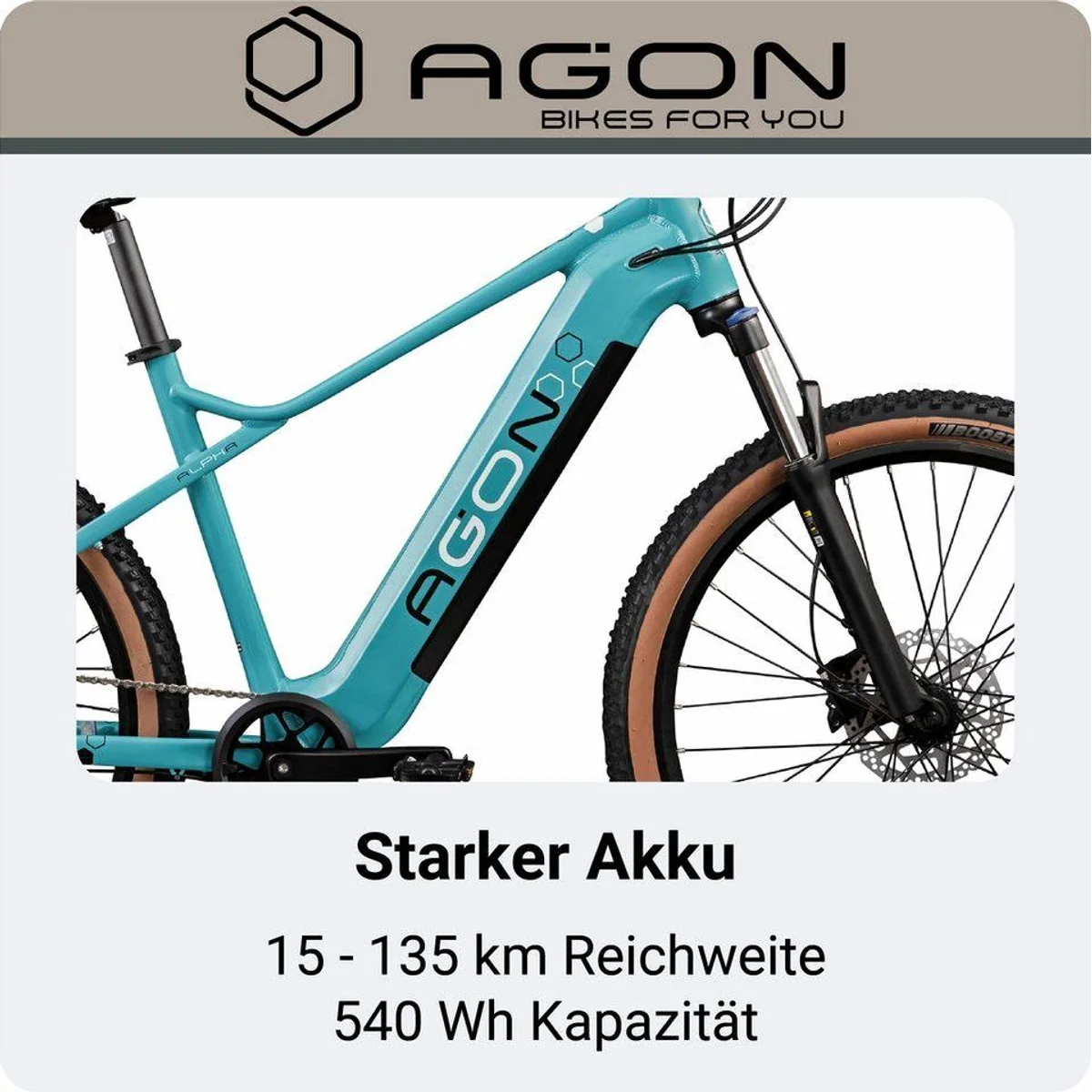 Agon E-Bike Mountainbike Alpha, 10 Gang Shimano Deore, 540 Wh Akku, Heckmotor 3