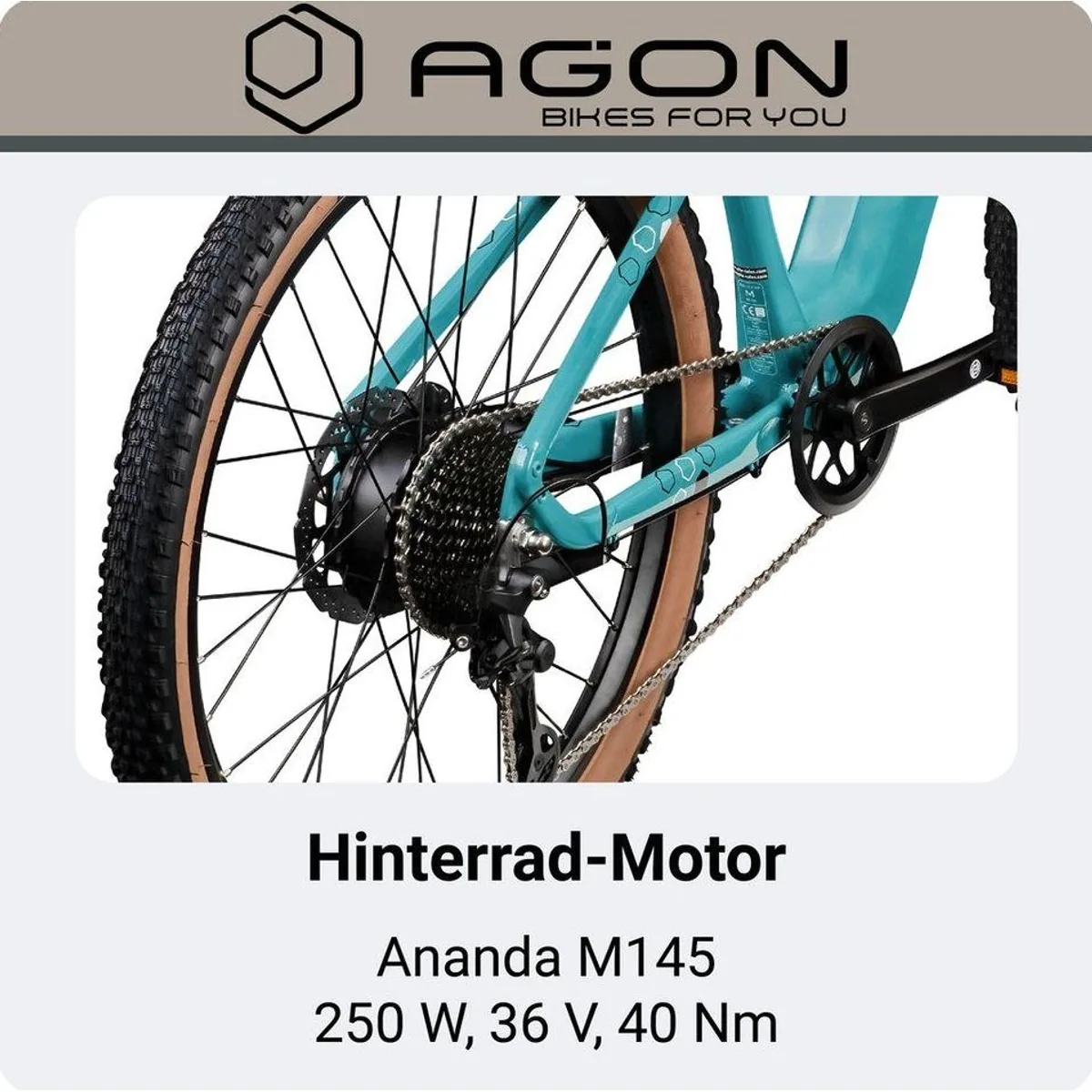 Agon E-Bike Mountainbike Alpha, 10 Gang Shimano Deore, 540 Wh Akku, Heckmotor 5