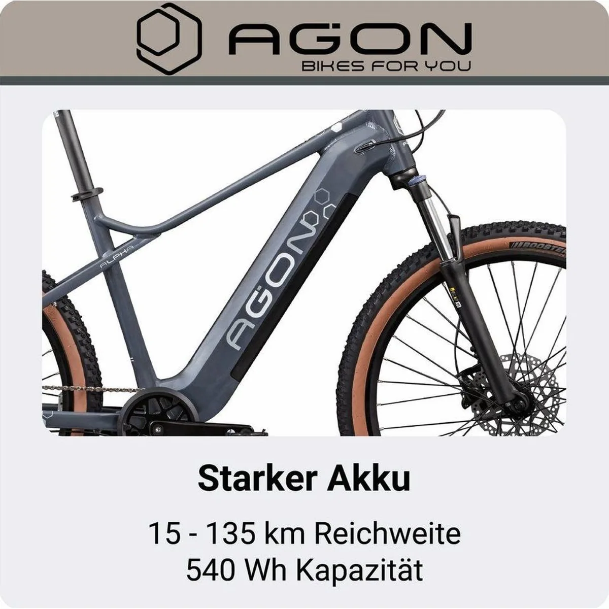 Agon Alpha E-Mountainbike, 10 Gang Shimano Deore, 540 Wh Akku, stabiler Aluminiumrahmen 3