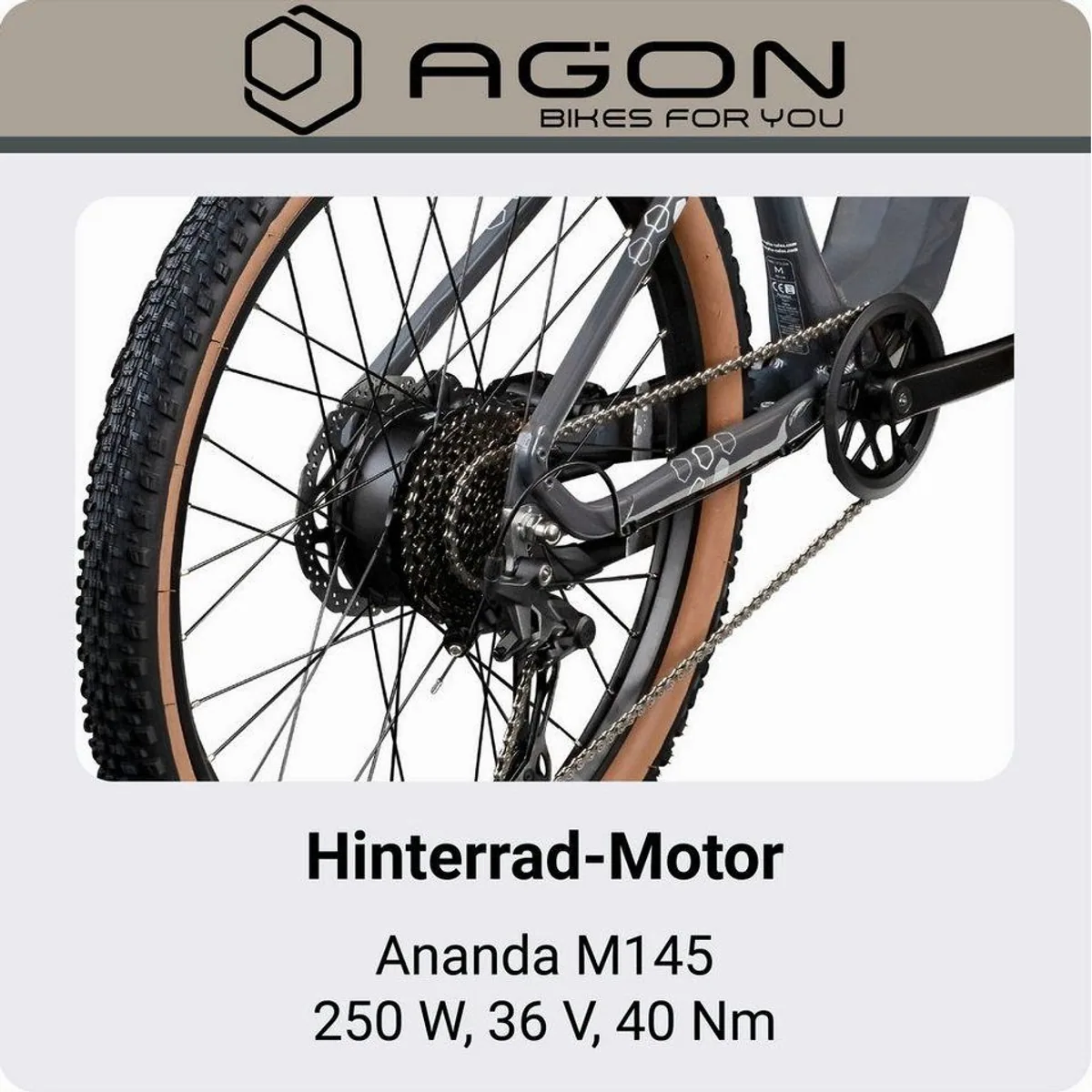 Agon Alpha E-Mountainbike, 10 Gang Shimano Deore, 540 Wh Akku, stabiler Aluminiumrahmen 5