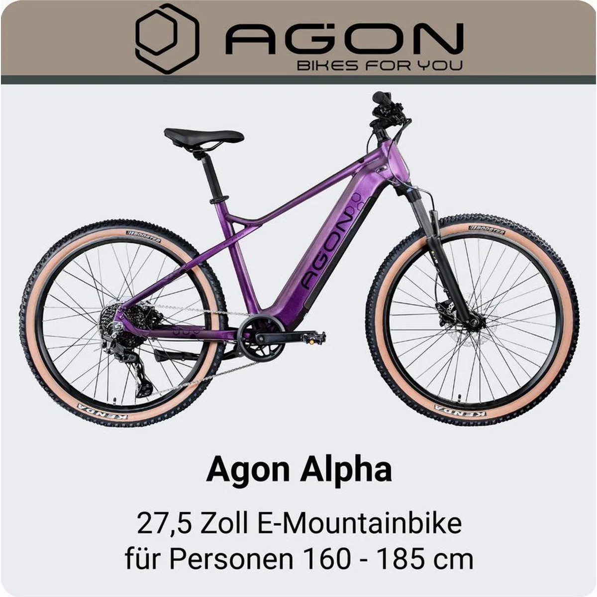 Agon E-Bike Mountainbike Alpha, 10 Gang Shimano Deore, 540 Wh Akku, Heckmotor 2