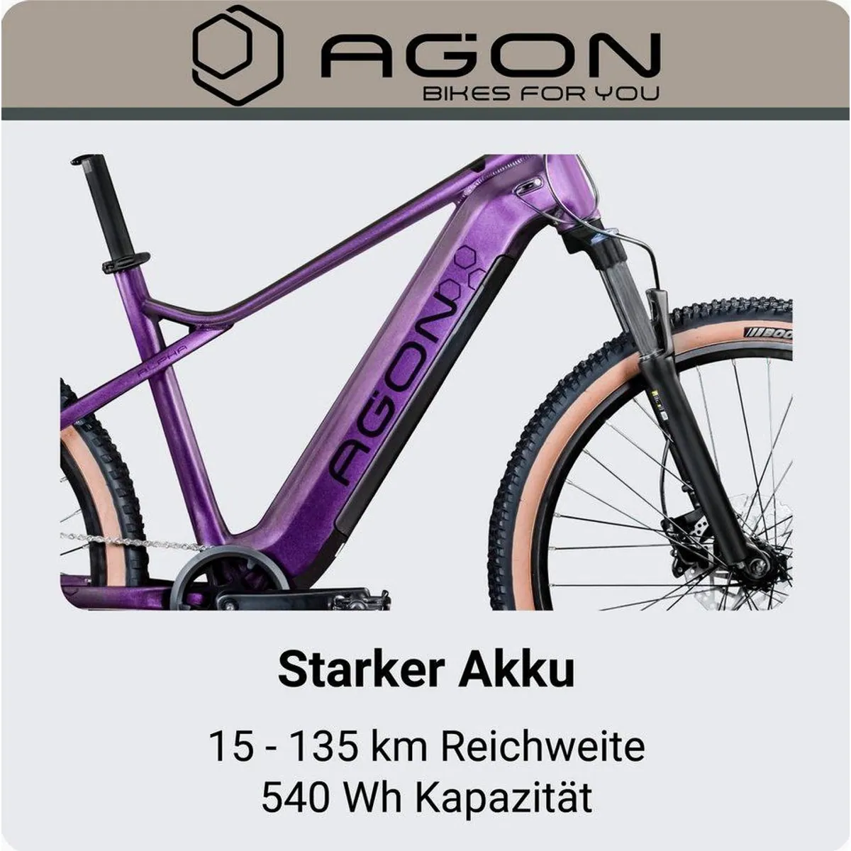 Agon E-Bike Mountainbike Alpha, 10 Gang Shimano Deore, 540 Wh Akku, Heckmotor 3