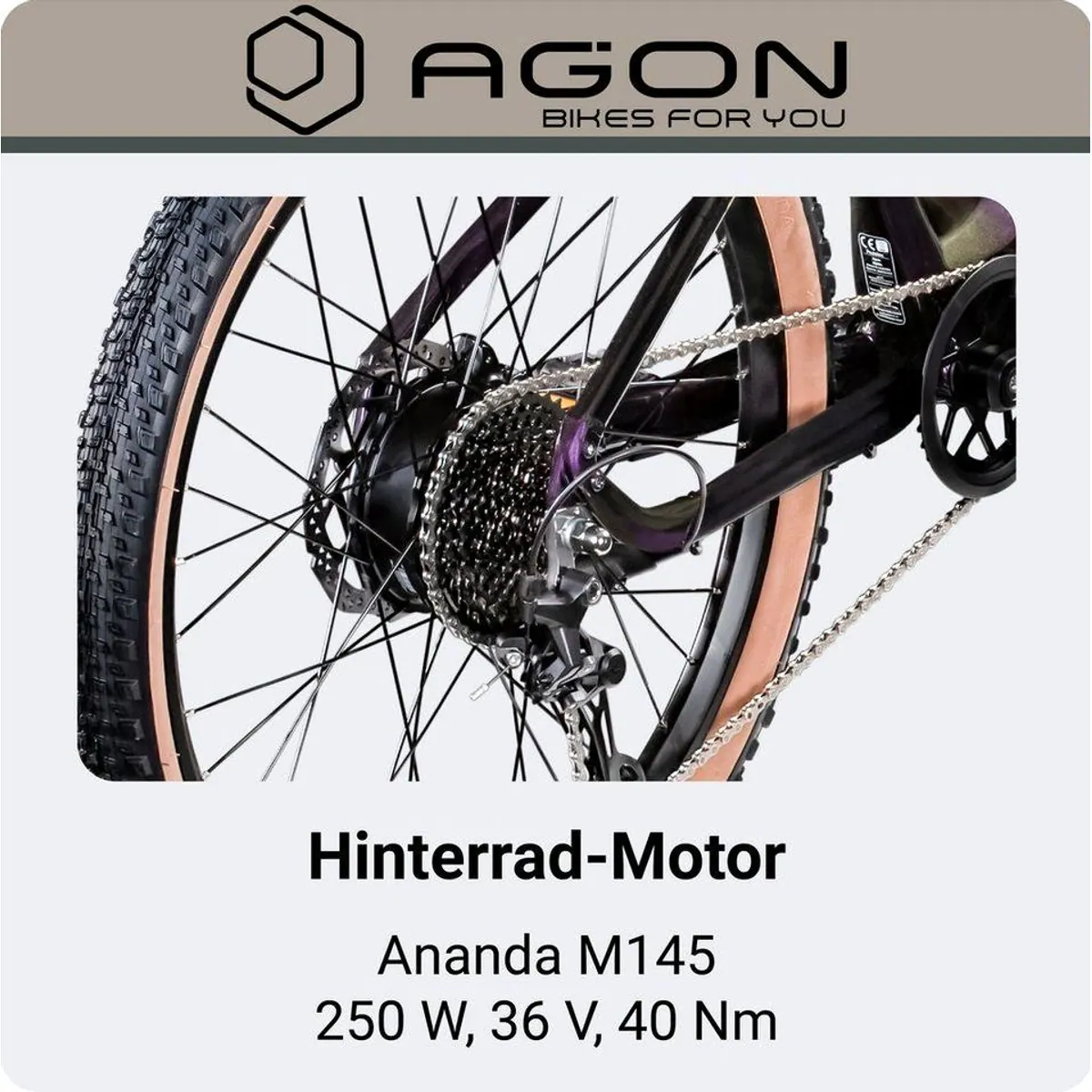 Agon E-Bike Mountainbike Alpha, 10 Gang Shimano Deore, 540 Wh Akku, Heckmotor 5