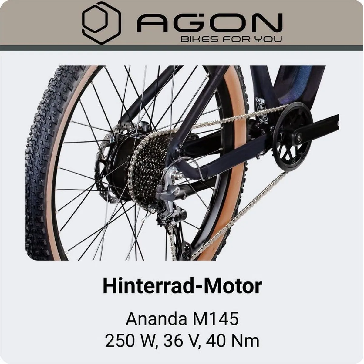 Agon E-Bike Mountainbike Alpha, leistungsstarker Antrieb, 10 Gang Shimano Deore — max. Reichweite 135 km 5