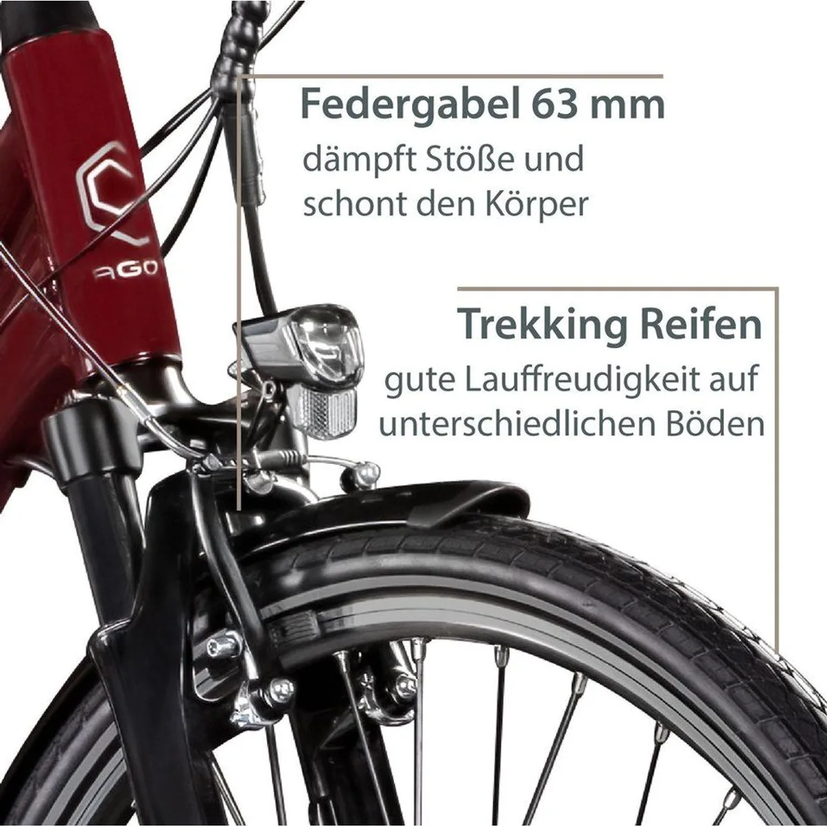Agon Avesa E-Bike Trekkingrad, 21 Gang, 250W Heckmotor, 374 Wh Akku 3