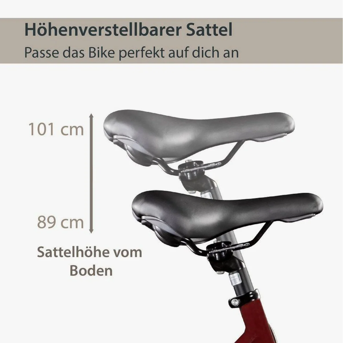 Agon Avesa E-Bike Trekkingrad, 21 Gang, 250W Heckmotor, 374 Wh Akku 4