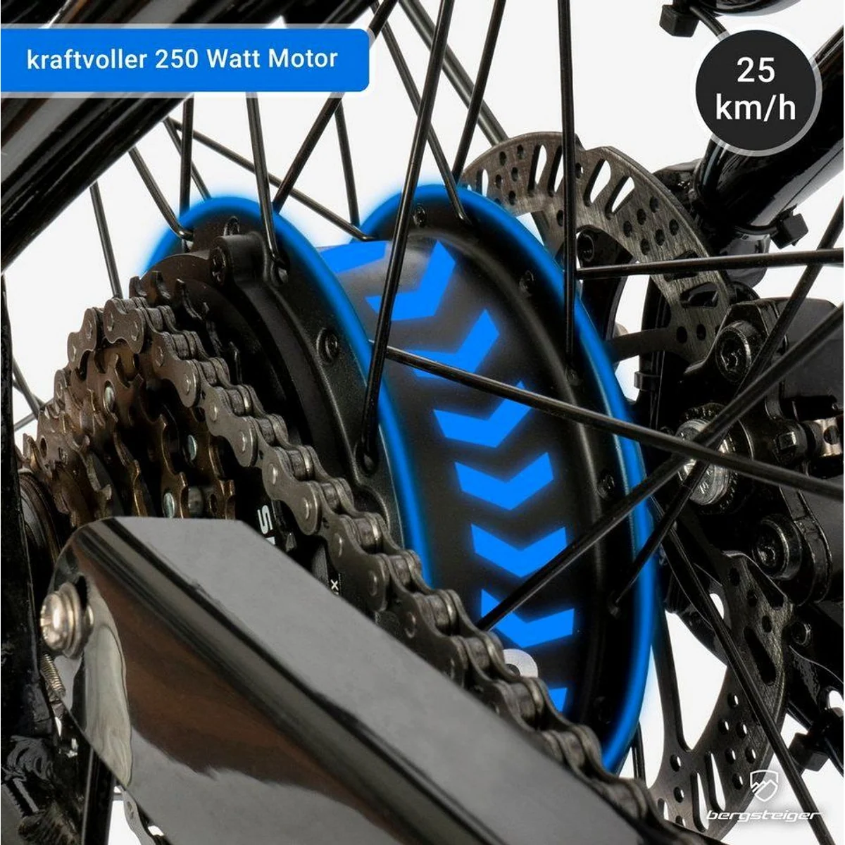 bergsteiger Hampton E-Bike Cityrad, 250 Watt Motor, 28 Zoll, 120 km Reichweite 3