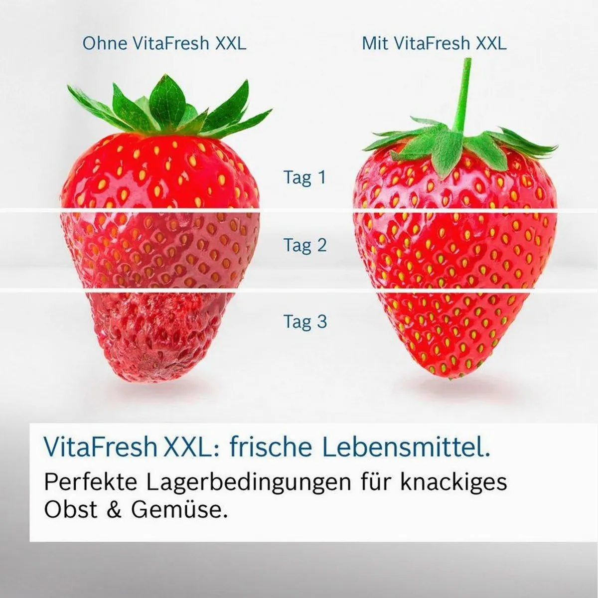 BOSCH KGE36AWCA Kühl-/Gefrierkombination, Low Frost, VitaFresh Schublade, LED-Beleuchtung 2
