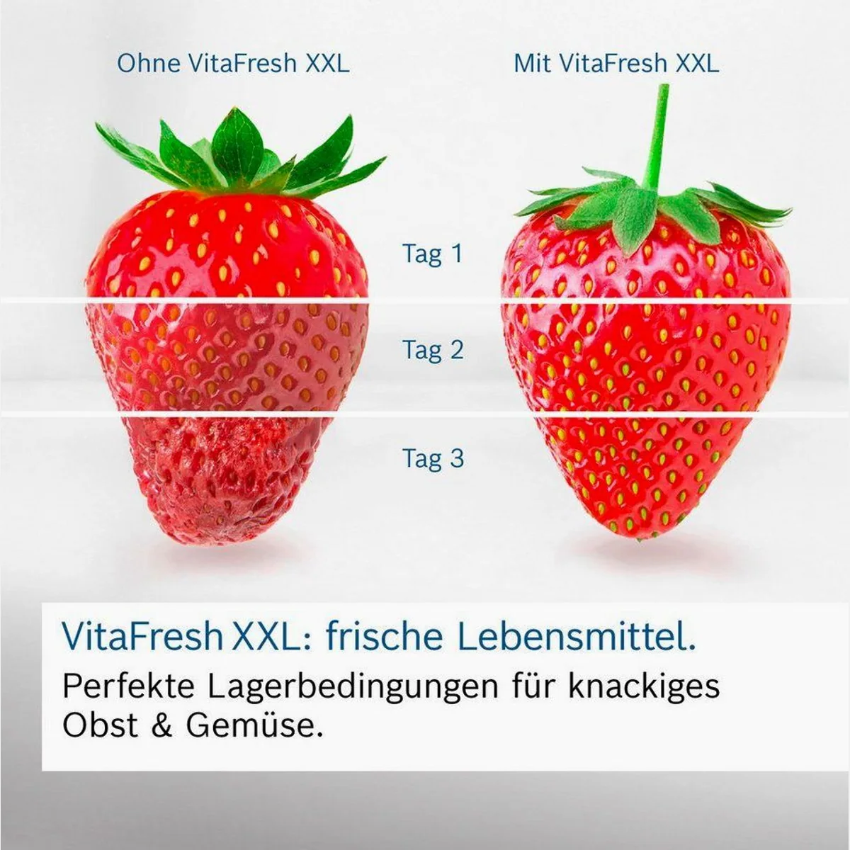 BOSCH Kühl-/Gefrierkombination KGE39ALCA, Low Frost, VitaFresh Schublade, Super Kühlen 3