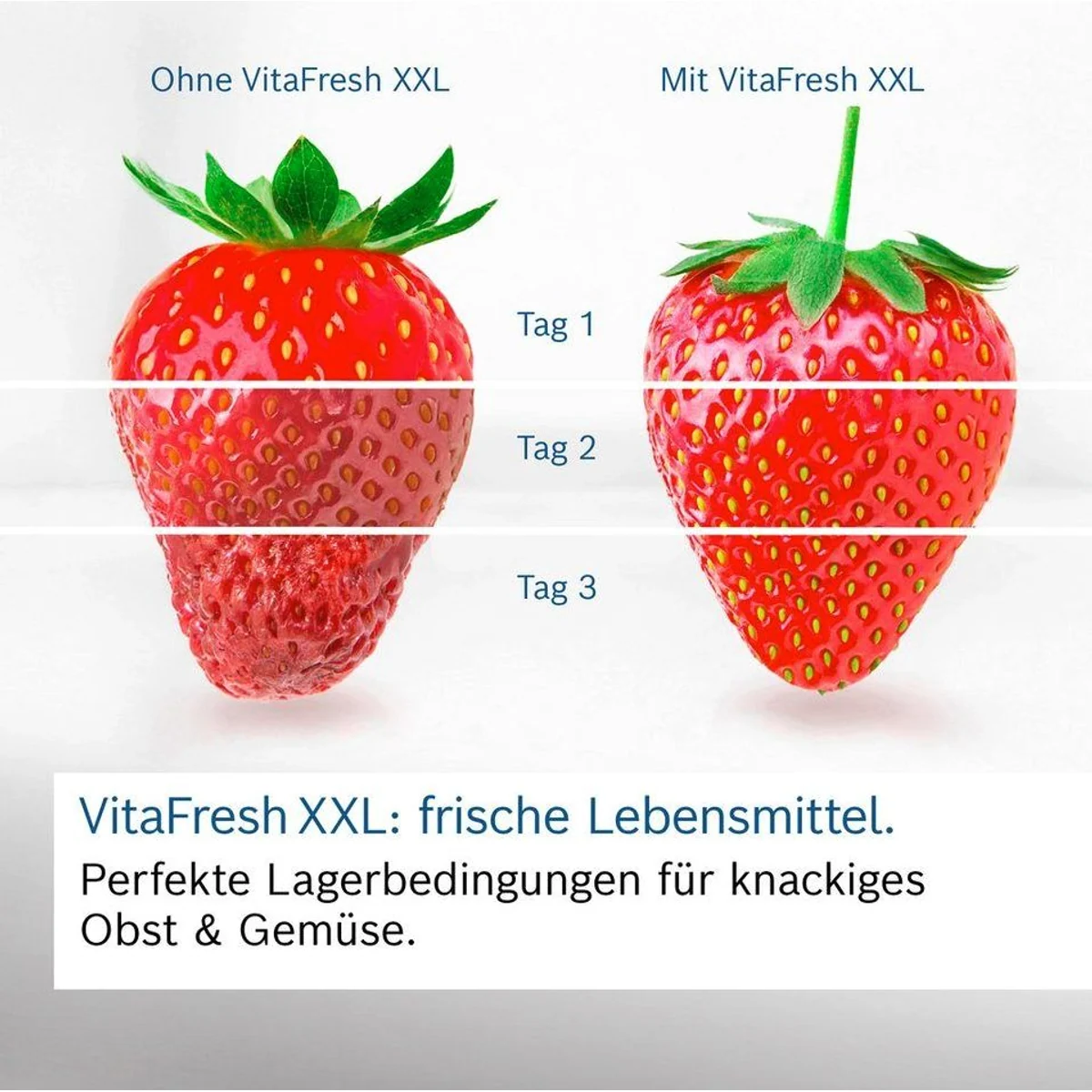 BOSCH Kühl-/Gefrierkombination Serie 4 KGN39VLCT, energieeffizient & geräumig 2