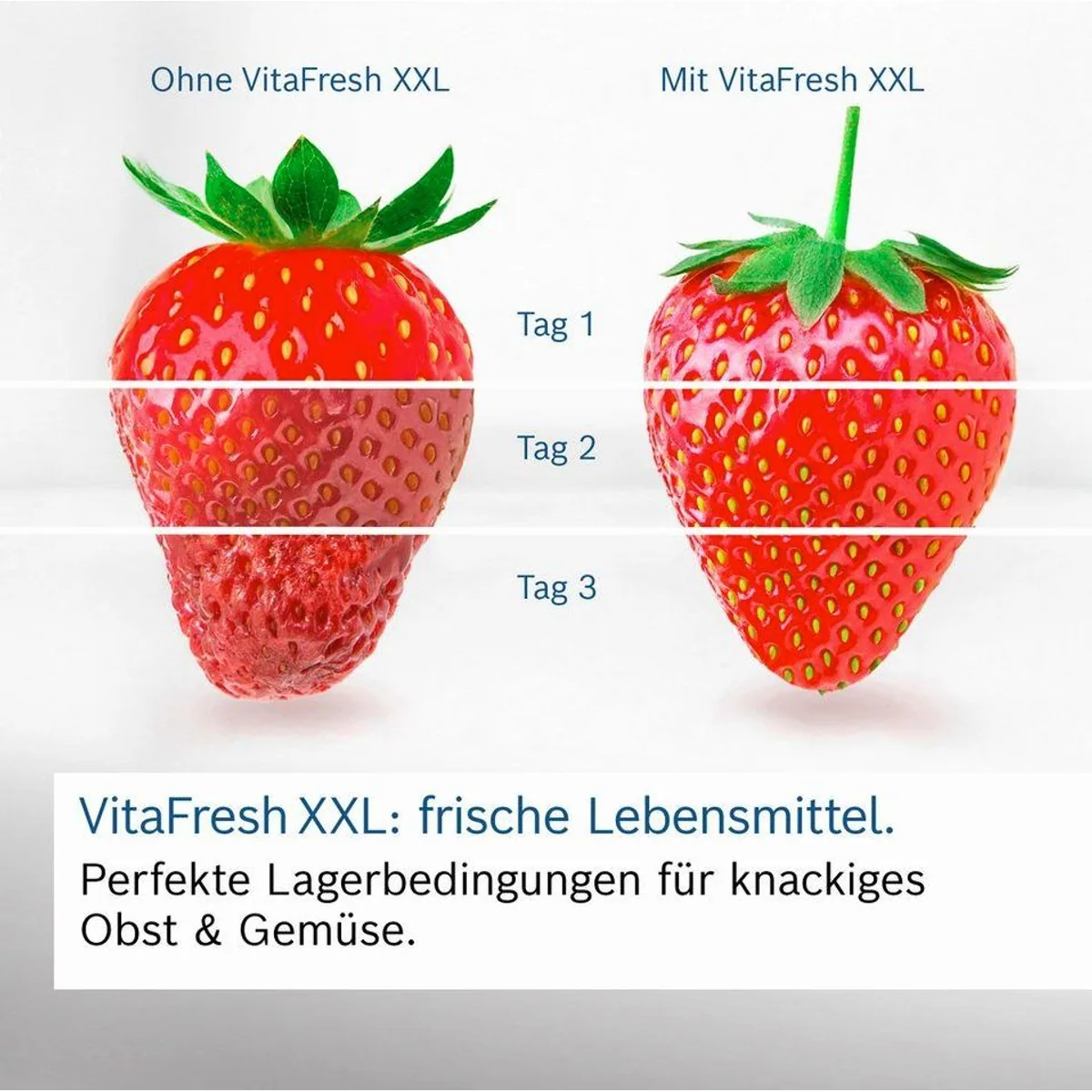 BOSCH KGN392LCF Kühl-/Gefrierkombination, VitaFresh XXL, No Frost, 203 cm hoch 2