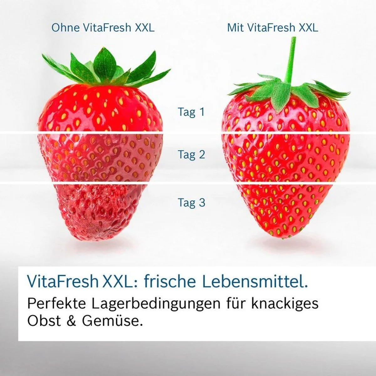 BOSCH KGN36VXCT Kühl-/Gefrierkombination, No Frost, MultiAirflow-System 2