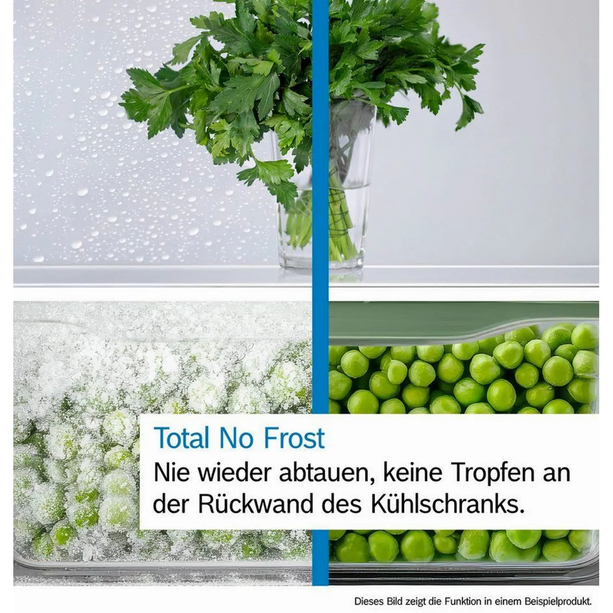 BOSCH KGN492IAF Kühl-/Gefrierkombination, VitaFresh XXL, Energieeffizienz A, geräuscharm 4