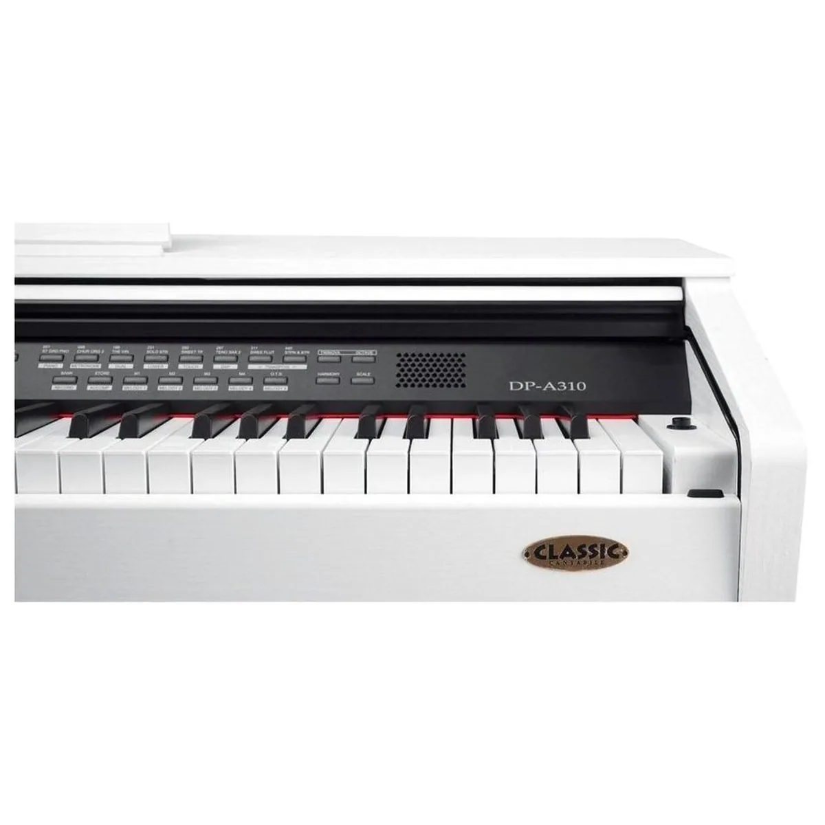 Classic Cantabile Digitalpiano DP-A 310, 88 Tasten, 500 Voices, USB-Anschluss 5