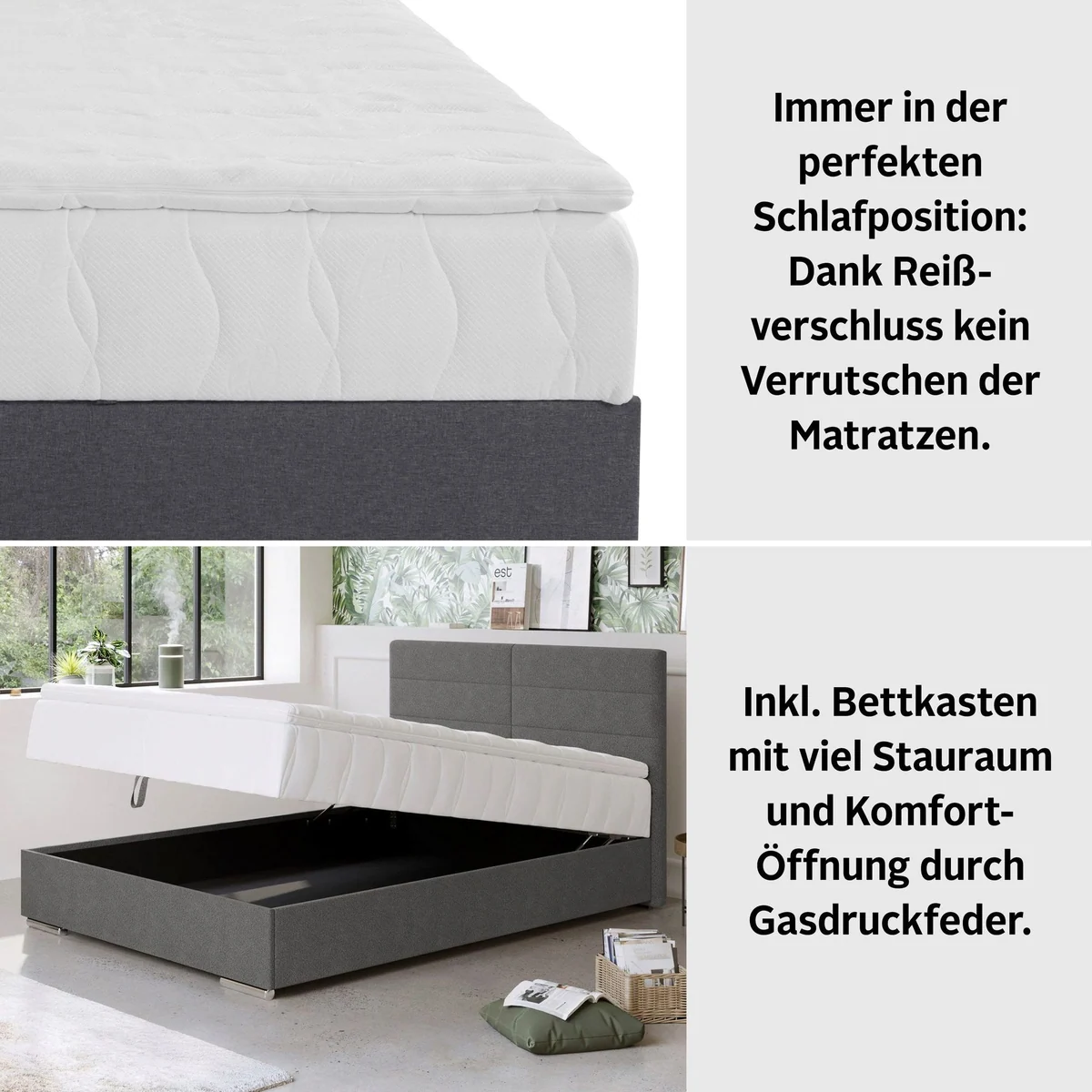 COTTA Boxbett Tom, komfortables Design, Bettkasten & Topper inklusive 5