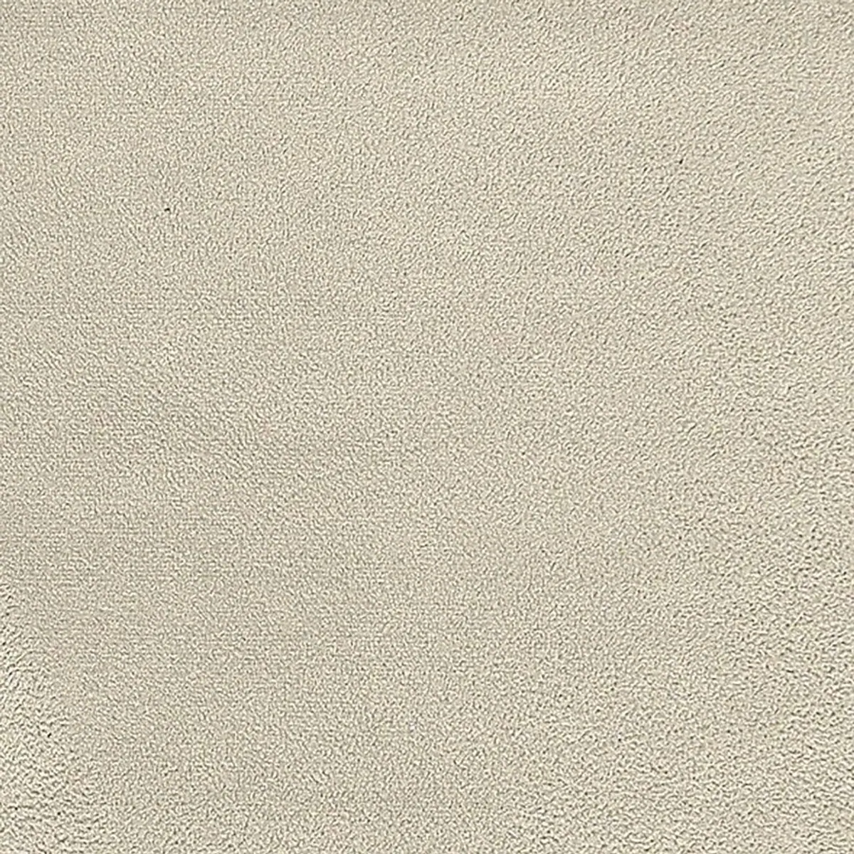 COTTA Polstergarnitur Leandra, 2-Sitzer & 2,5-Sitzer Set, elegantes Design & hoher Komfort 5