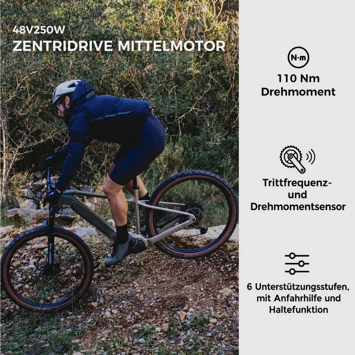 DERUIZ E-Bike Mountainbike 29 Zoll, 110 Nm Unterstützung, 180 km Reichweite 4