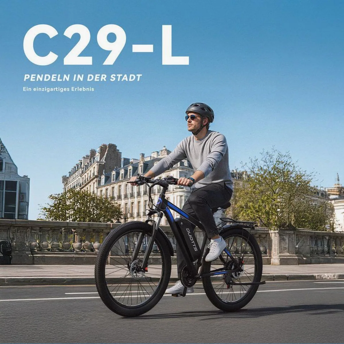 DUOTTS C29-L E-Bike, 250W Motor, 110 km Reichweite, hydraulische Bremsen 3