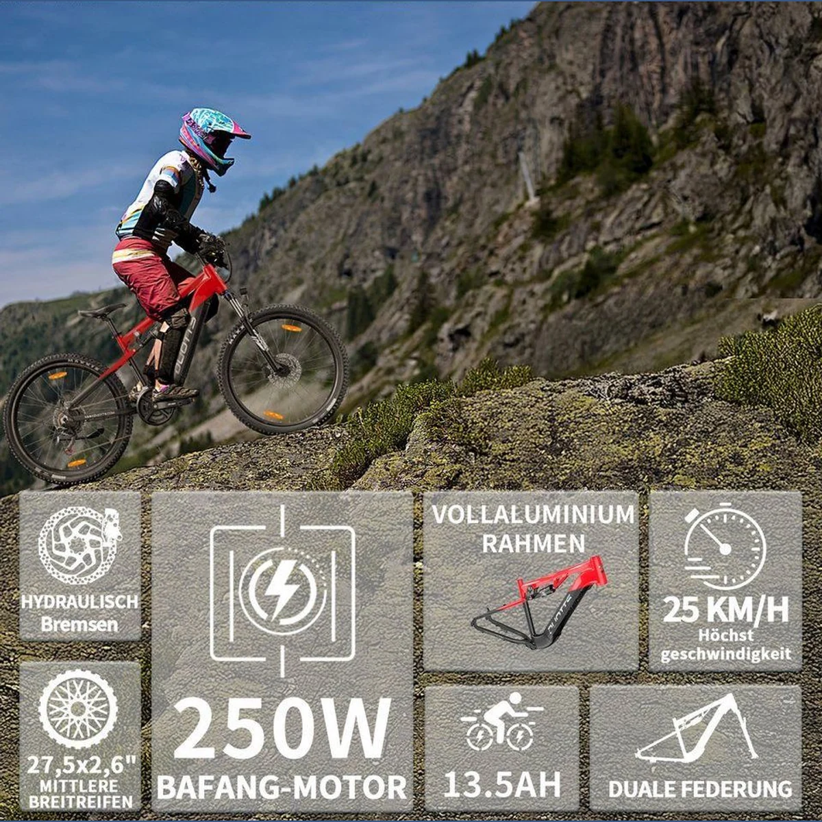 DUOTTS E29 E-Bike Cityrad, kraftvoller Heckmotor, 648 Wh, 14-Gang Shimano 3
