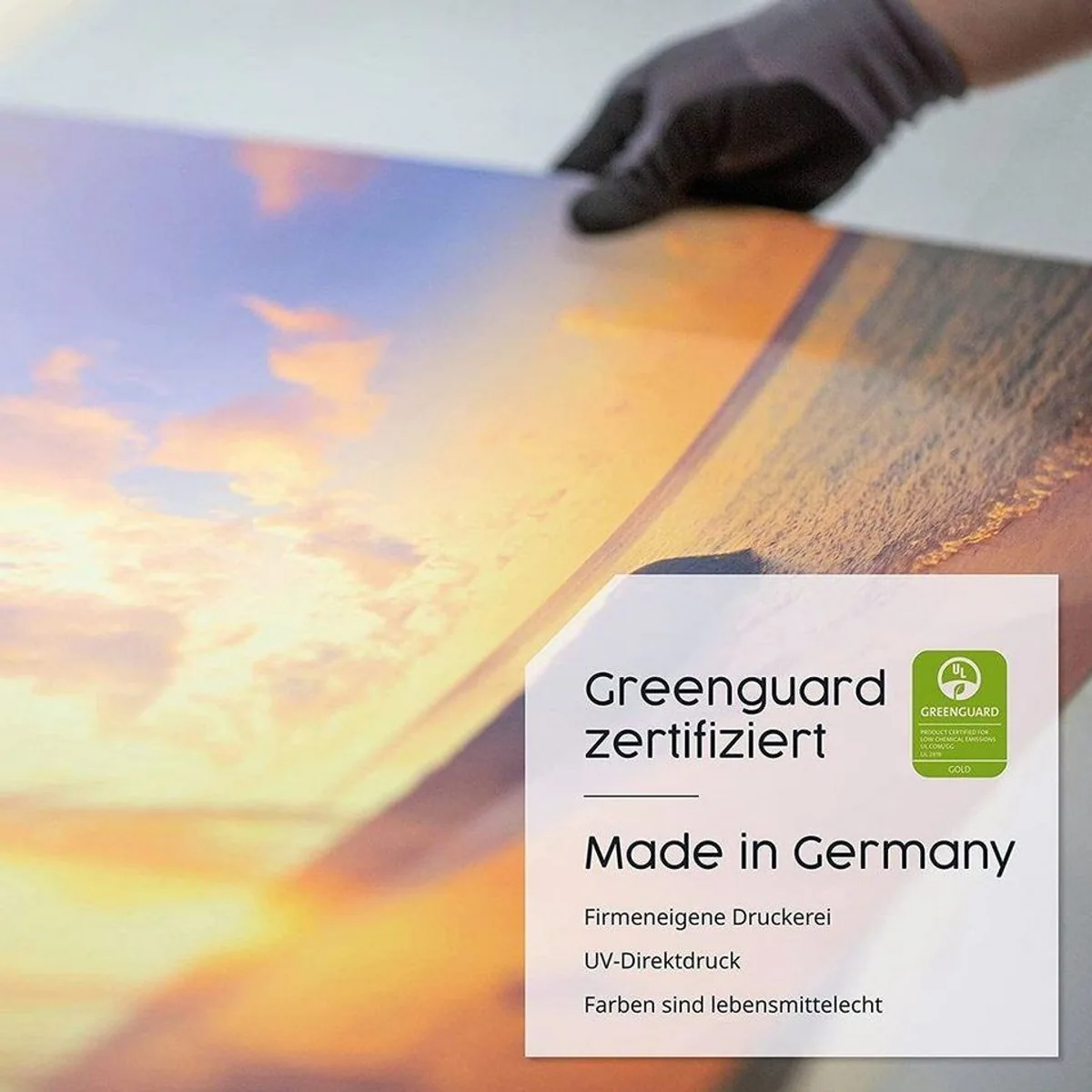 Könighaus Infrarotheizung Bild-Serie 800W, Smart Home fähig, Ultra HD Druck 5
