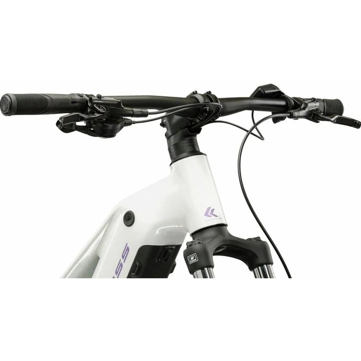 Kross Influx Hybrid 2.0 E-Bike, kraftvoll, komfortabel, vielseitig 4