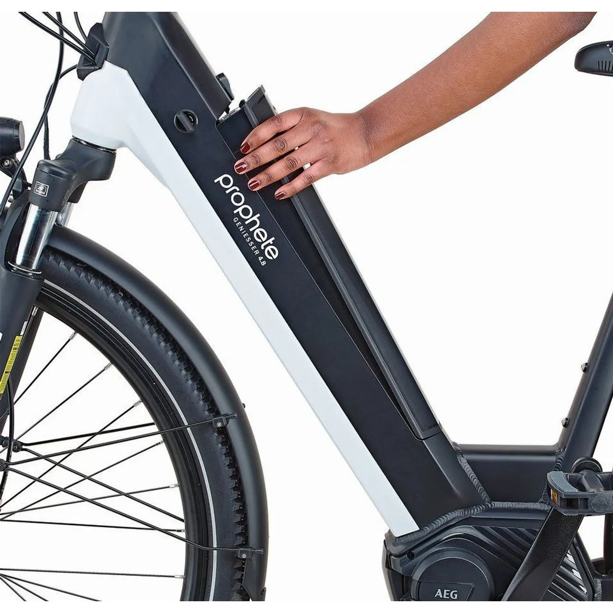 Prophete Geniesser 4.8 E-Bike, 7-Gang Shimano Nexus, 540 Wh Akku, 10 Jahre Rahmen-Garantie 5