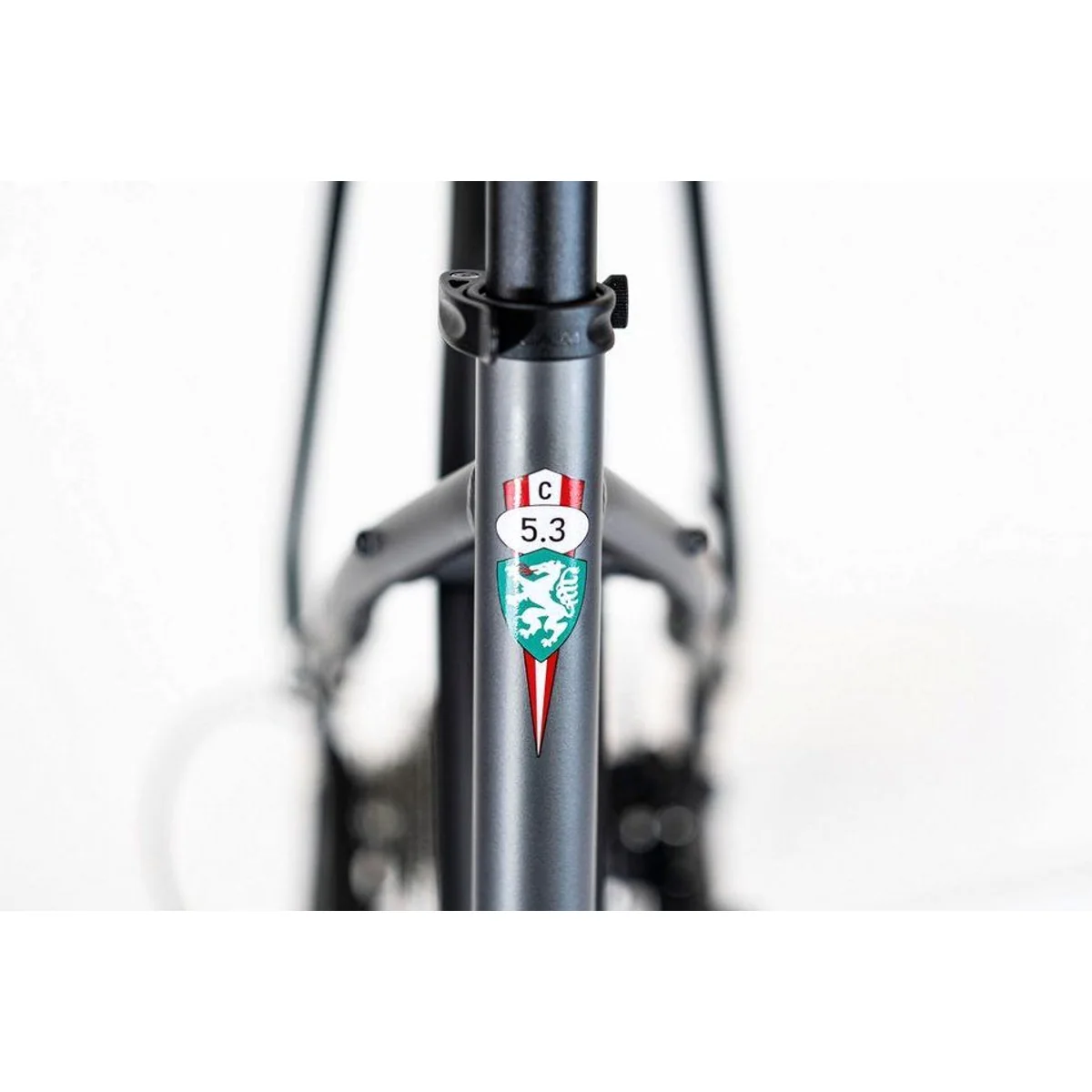 PUCH C 5.3 City E-Bike, Bosch ACTIVE LINE PLUS Motor & 500Wh Akku – Komfortabel & stilvoll unterwegs 3