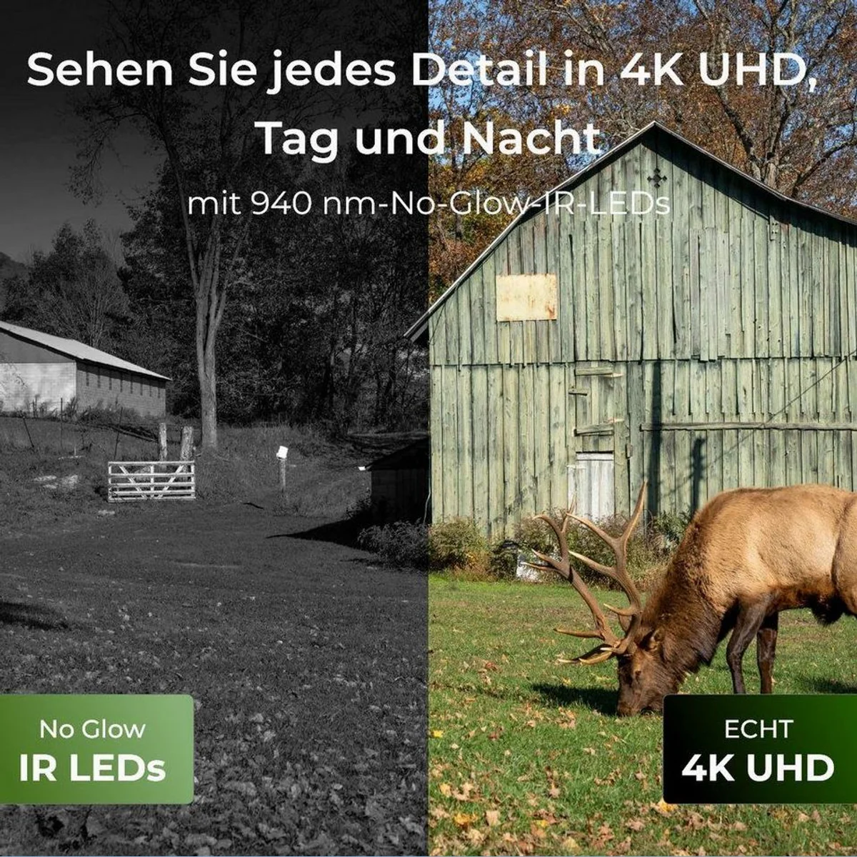 Reolink Go Ranger PT Wildkamera, 4G LTE, 8MP, Nachtsicht — 360° Sicht, Tiererkennung, Solarenergie 2