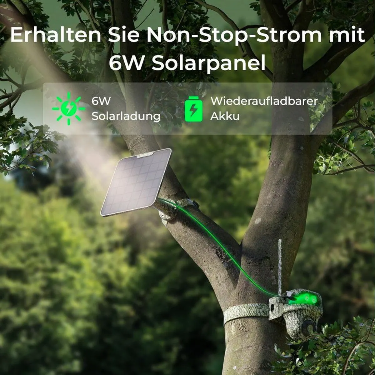 Reolink Go Ranger PT Wildkamera, 4G LTE, 8MP, Nachtsicht — 360° Sicht, Tiererkennung, Solarenergie 3