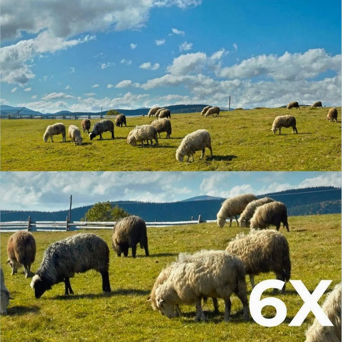 Reolink Trackmix G770 Überwachungskamera, 4K 8MP, kabellos & 4G LTE 5