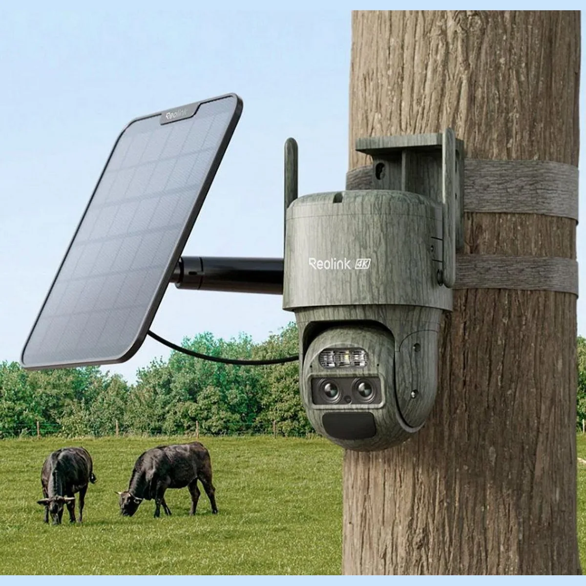 Reolink Trackmix LTE Überwachungskamera, 4G Dual-Objektiv, integriertes Solarpanel 2