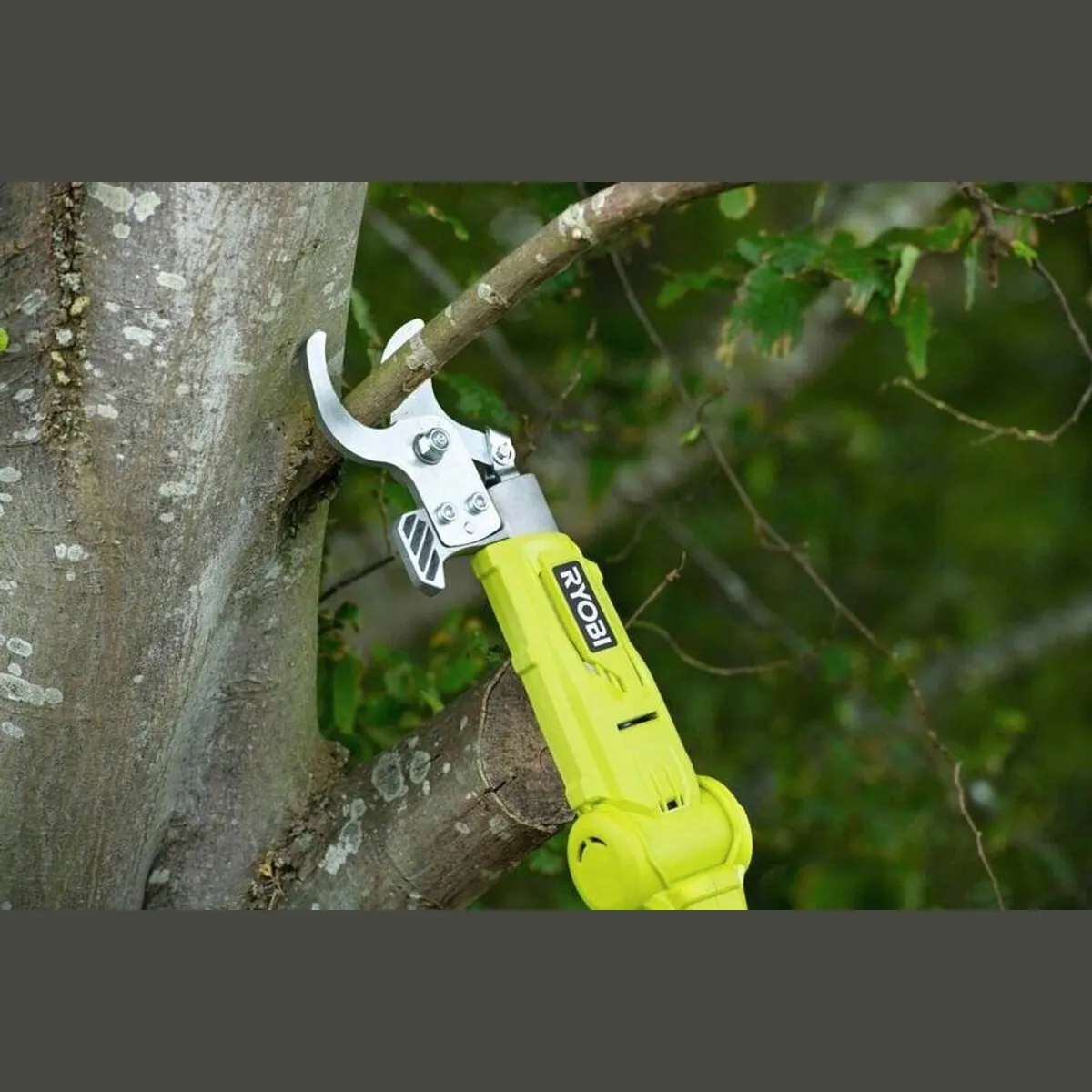 RYOBI Akku Teleskop-Astschere ONE+ 18 V, 55 cm Messerlänge, 24 mm Schnittstärke 2