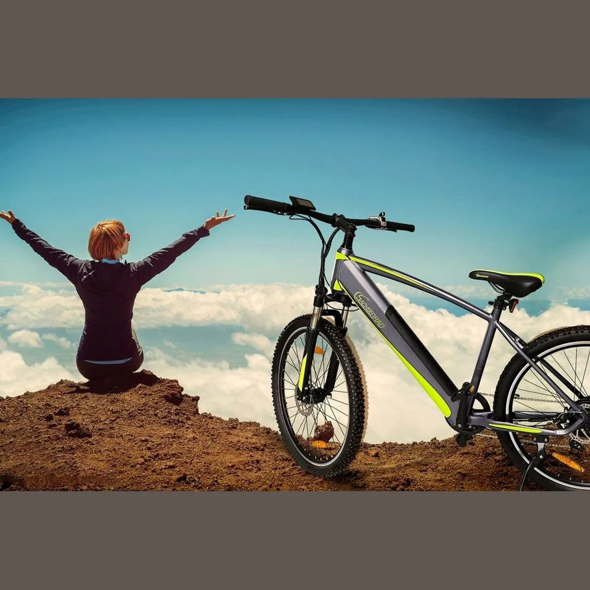 SachsenRAD E-Bike R8 Flex III, 9 Gang Shimano, Heckmotor, 520 Wh Akku 5