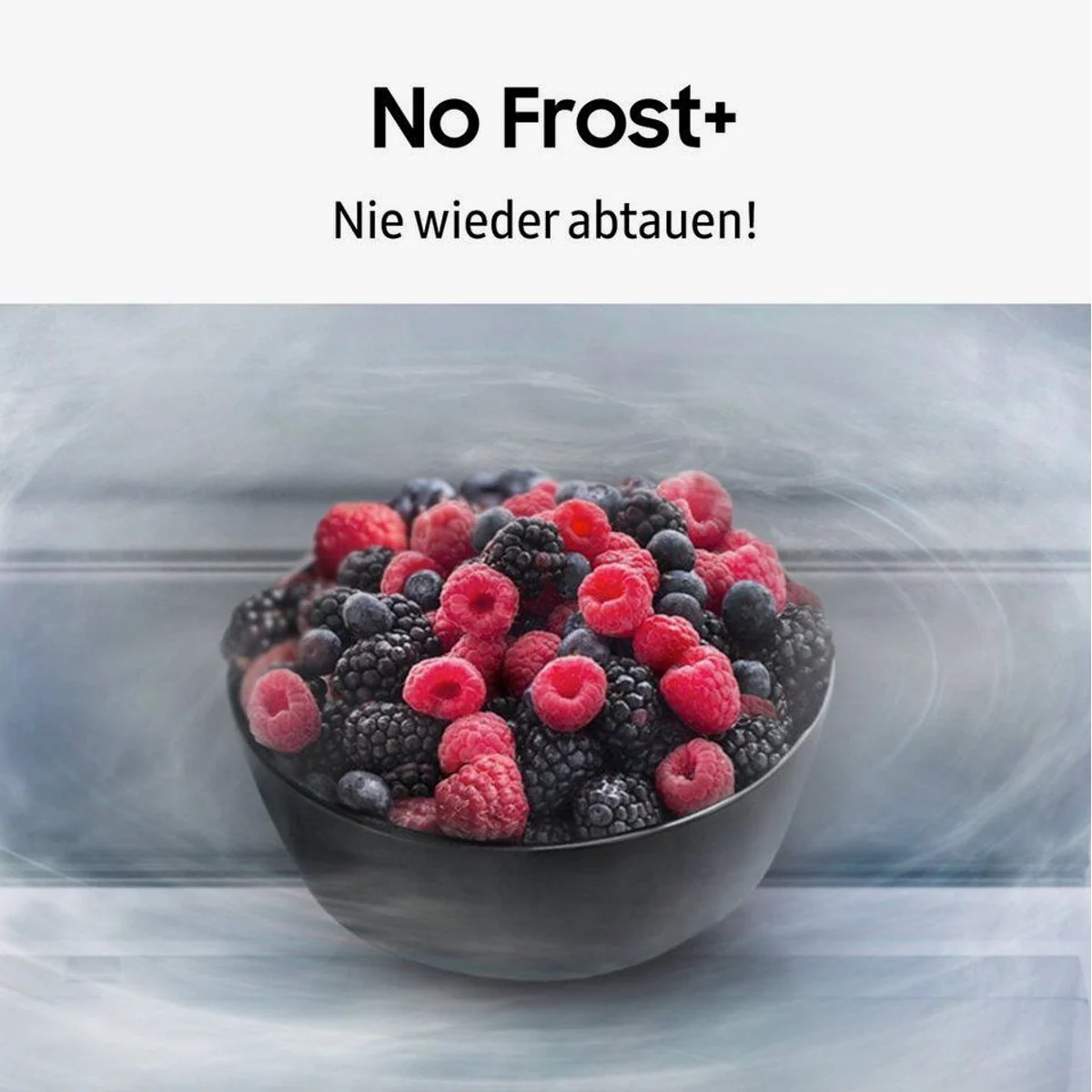 Samsung RL38C7B5BB1 Kühl-/Gefrierkombination, No Frost, MultiAirflow, 273 l Kühlvolumen 5