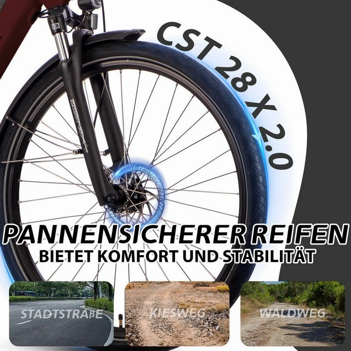 SAXXX E-Bike Trekkingrad 28 Zoll, kraftvoller Mittelmotor, 10-Gang Schaltung, abnehmbarer Akku 3
