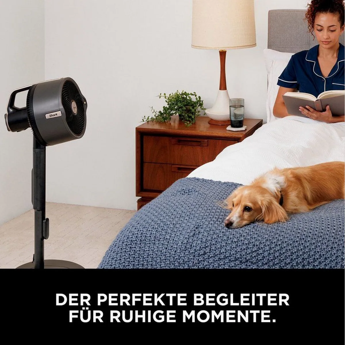 Shark FlexBreeze Pro Mist Standventilator, tragbar, sprühnebel-funktionierend, leise — max. 150 Zeichen 4