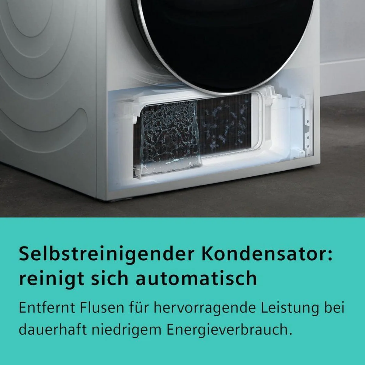 SIEMENS Wärmepumpentrockner WQ45G2D00, selbstreinigender Kondensator, 9 kg Fassungsvermögen, edelstahl Trommel 2