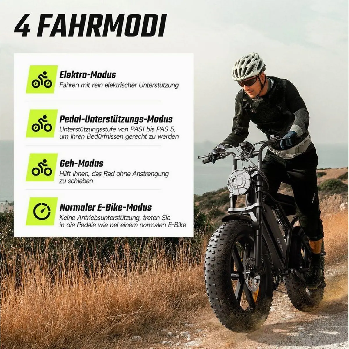 SISIGAD E-Bike R002, 250W Motor, herausnehmbarer Akku, 4 Fahrmodi 4