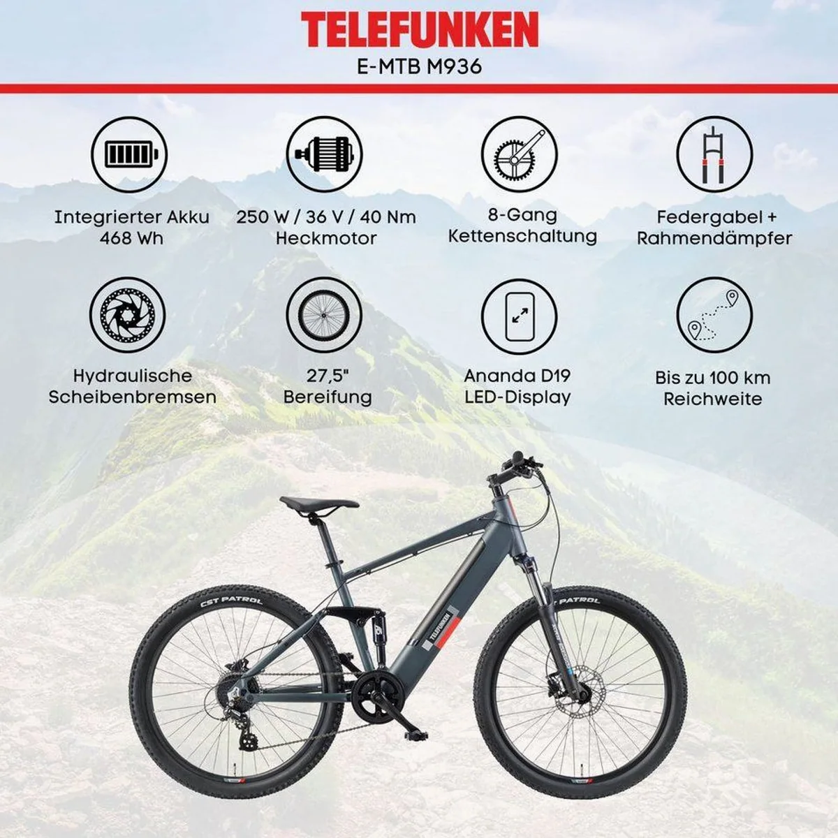 Telefunken E-Bike Aufsteiger M936, leistungsstarker Heckmotor, 8-Gang Shimano Schaltung, hochkomfortabel 5