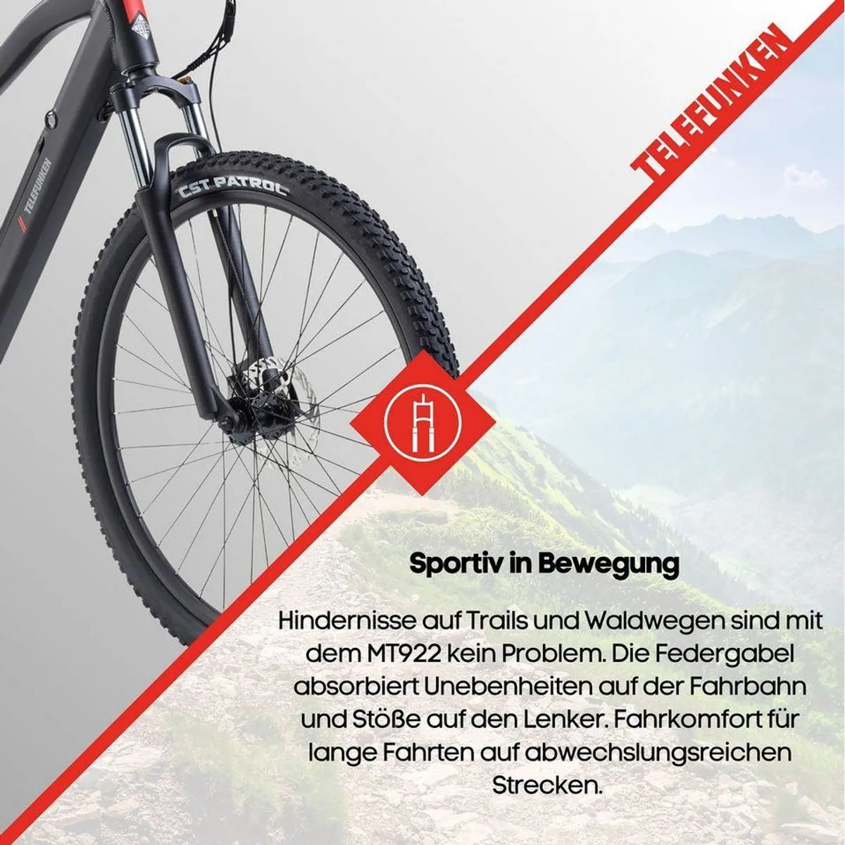 Telefunken MT922 E-Mountainbike, 250W Heckmotor, 29 Zoll, 7-Gang Shimano 5