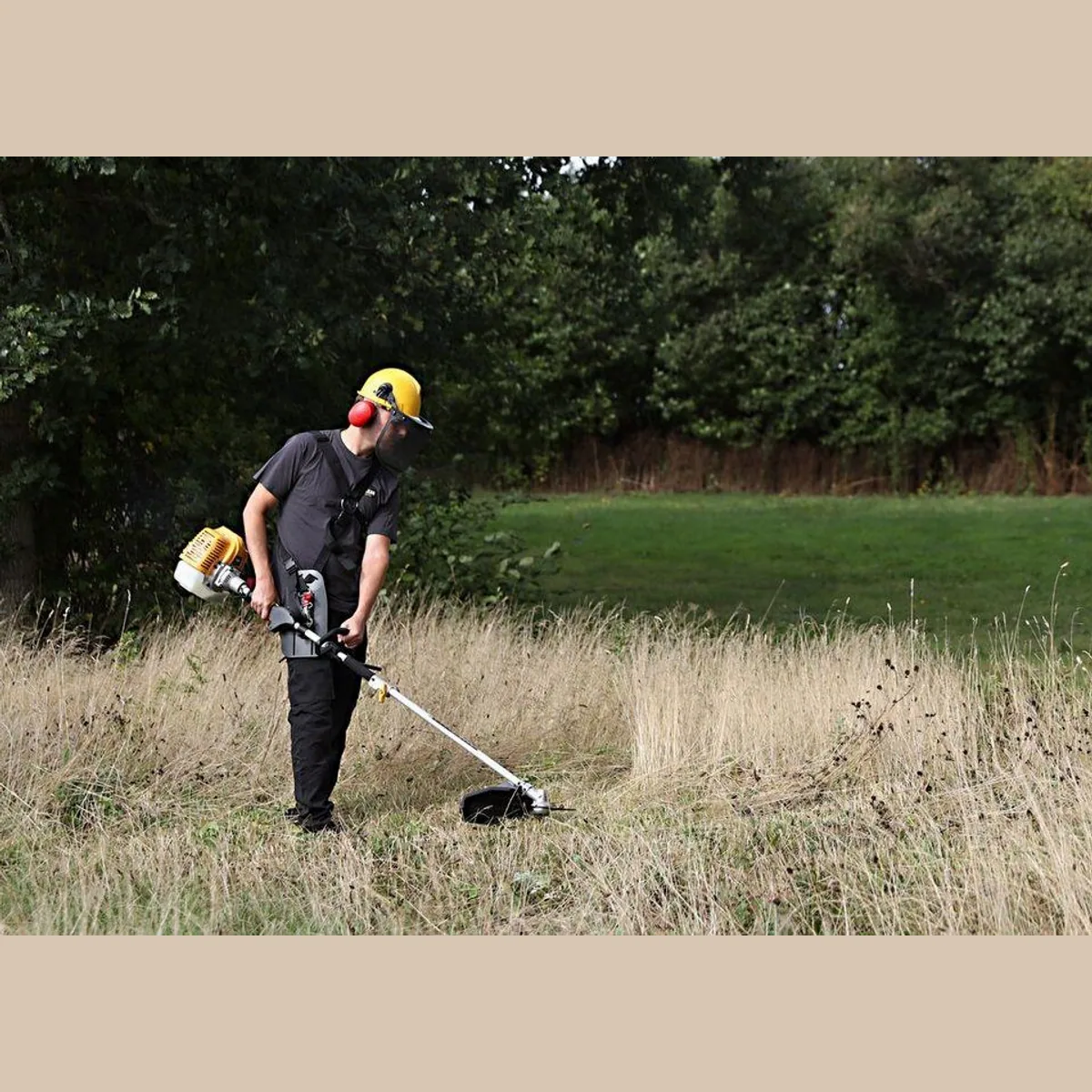 Texas BCU43M Kombi-Gerät, 4-in-1 Multifunktionsgerät für Gartenarbeiten 3