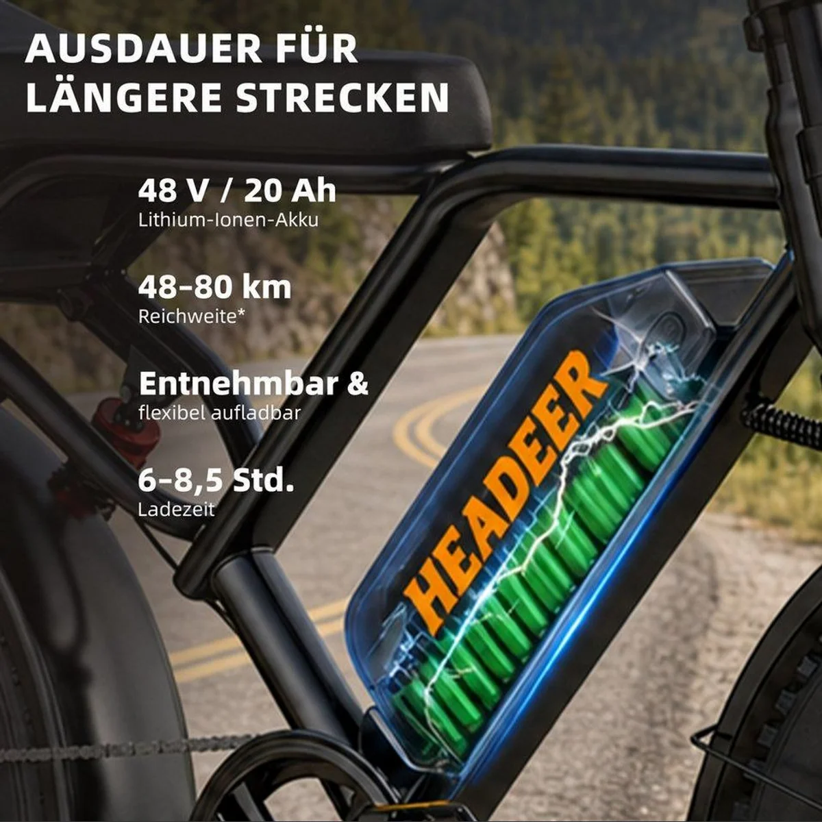 Vankel bk20 E-Fatbike, 250W Motor, 960Wh Akku, 25 km/h, Vollfederung 3