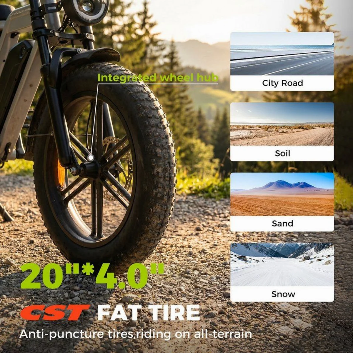 Vankel E7-2.0 E-Bike, kraftvoller Motor, hohe Reichweite, komfortable Federung 5