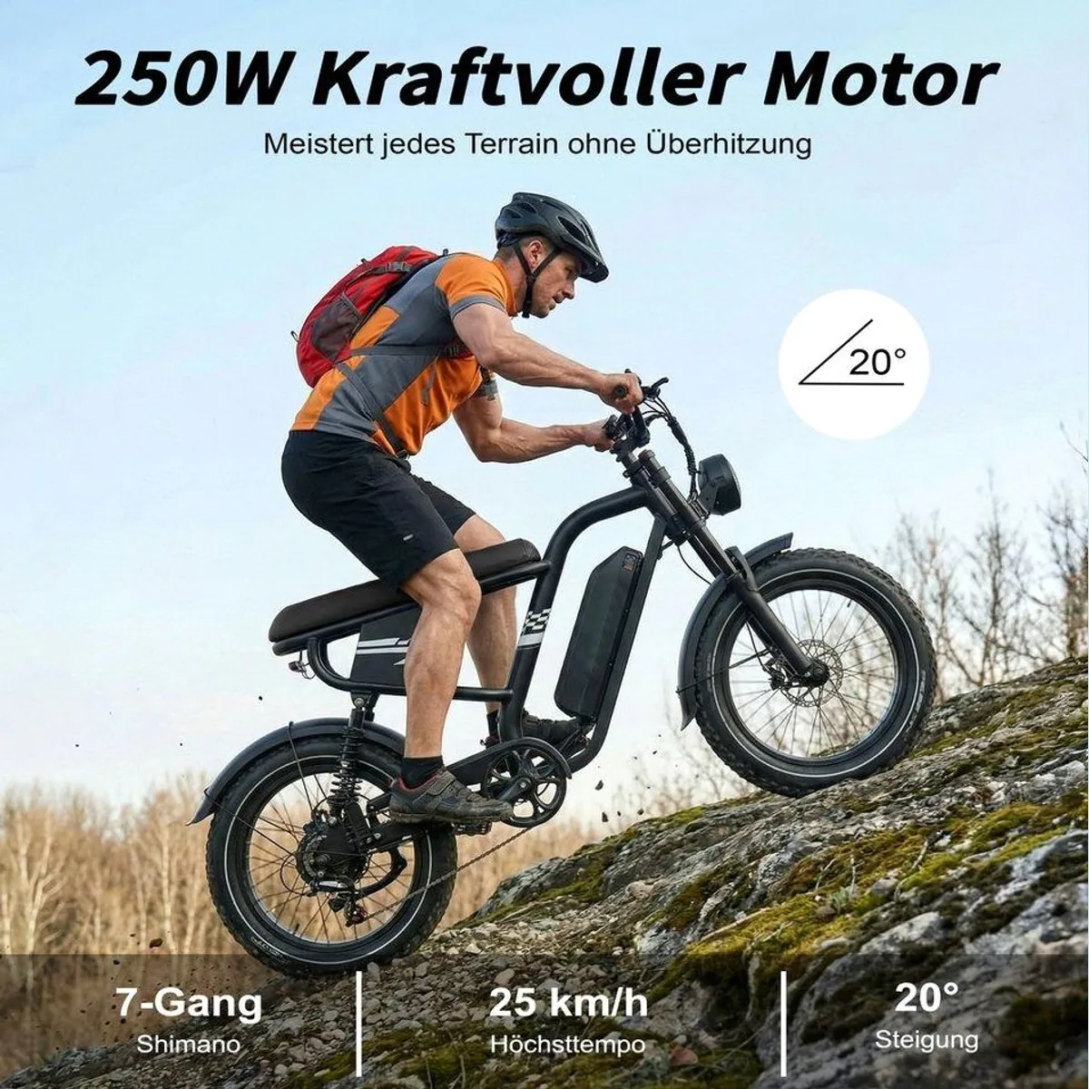 Vankel MX10 E-Bike Cityrad, kraftvoller Heckmotor, 100 km Reichweite, 7-Gang-Schaltung 3