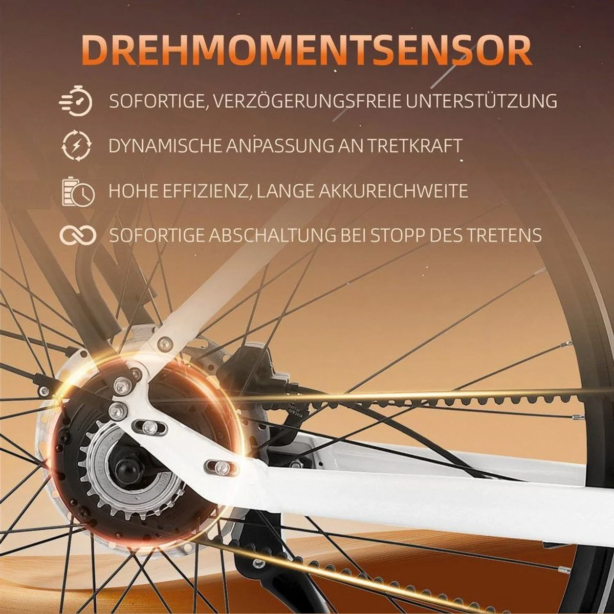 VECOCRAFT LUNA 1.0 E-Bike, 100 km Reichweite, Gates Riemenantrieb, 50 Nm Heckmotor 2