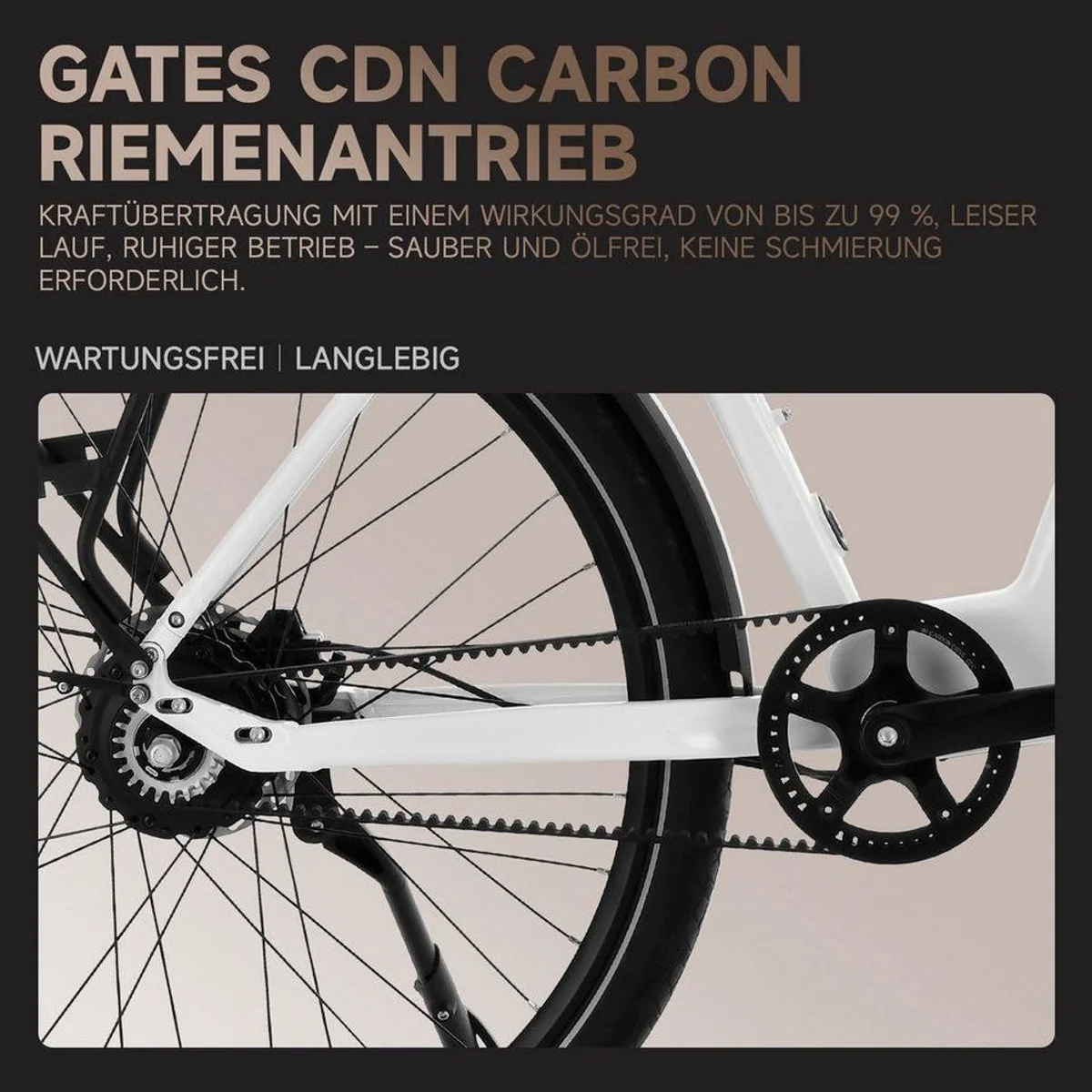 VECOCRAFT LUNA 2.0 E-Bike, stufenloses Antriebssystem, 360Wh Akku, GATES Riemenantrieb 3