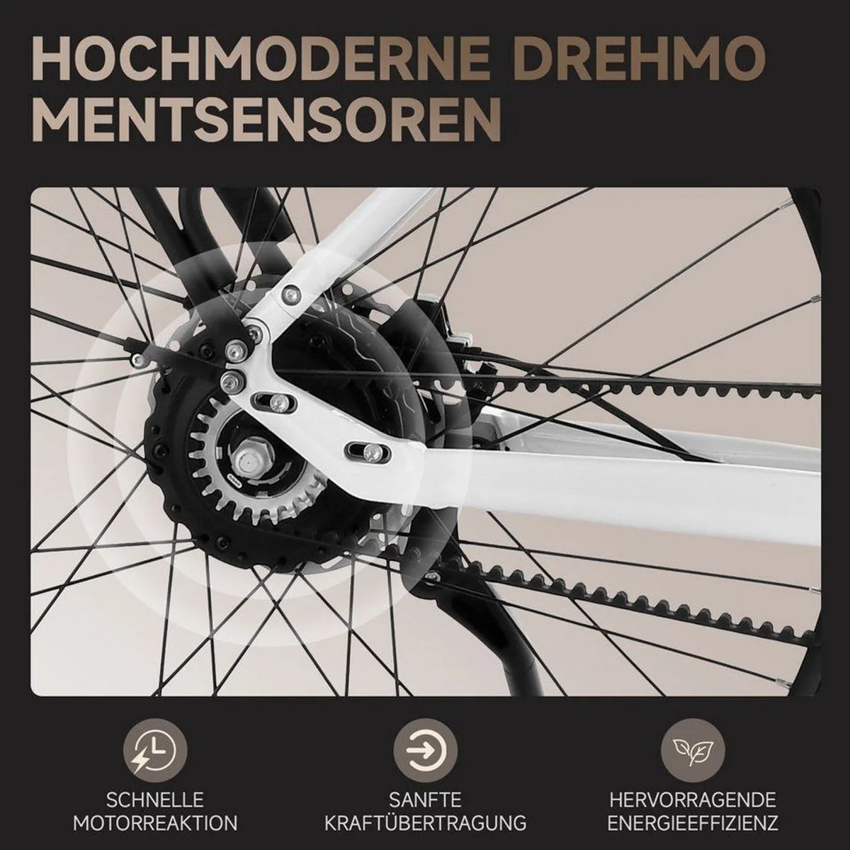 VECOCRAFT LUNA 2.0 E-Bike, stufenloses Antriebssystem, 360Wh Akku, GATES Riemenantrieb 5